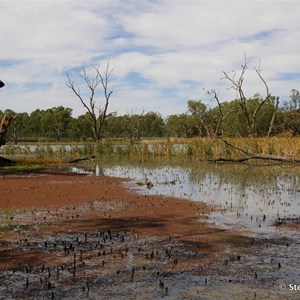 Border Cliffs Customs House Wetland Walk - Lagoon