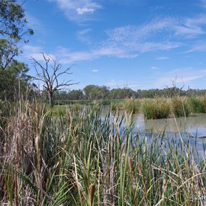 Border Cliffs Customs House Wetland Walk - Lagoon