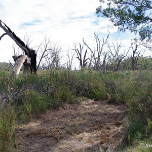 Border Cliffs Customs House Wetland Walk - Lagoon