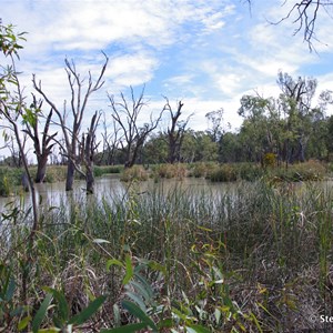 Border Cliffs Customs House Wetland Walk - Lagoon