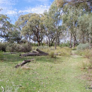 Border Cliffs Customs House Wetland Walk - Stop 9