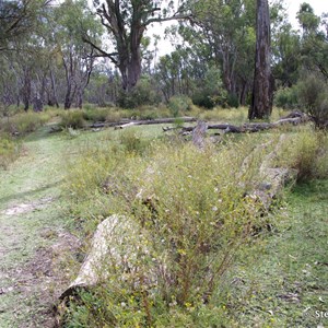 Border Cliffs Customs House Wetland Walk - Stop 9