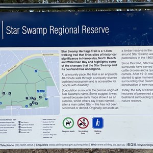 Star Swamp