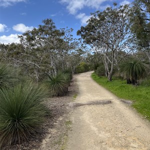 Star Swamp