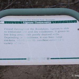 Ngak Indau Wetland Trail - Interpretive Sign