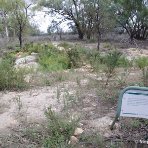 Ngak Indau Wetland Trail - Interpretive Sign