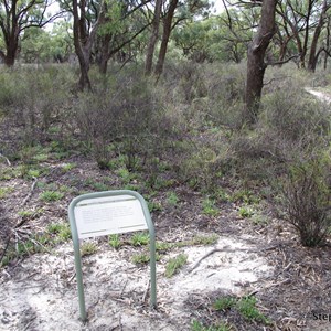 Ngak Indau Wetland Trail - Interpretive Sign - Eremophila