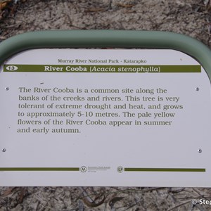 Ngak Indau Wetland Trail - Interpretive Sign - River Cooba