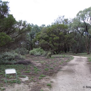 Ngak Indau Wetland Trail - Interpretive Sign - Dryland Tea Tree