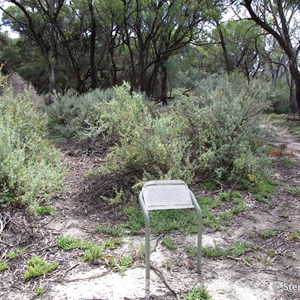 Ngak Indau Wetland Trail - Interpretive Sign - Saltbush