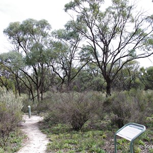 Ngak Indau Wetland Trail - Interpretive Sign - Black Box Community