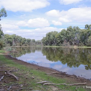 Ngak Indau Wetland Trail - Interpretive Sign - River Red Gums