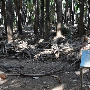 Mataranka Homestead and Thermal Springs