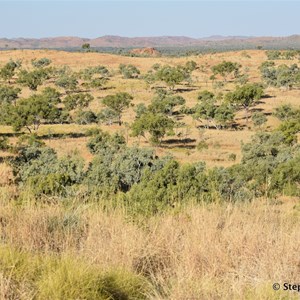 Moola Bulla Lookout