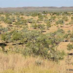 Moola Bulla Lookout