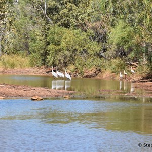 Calico Creek Crossing