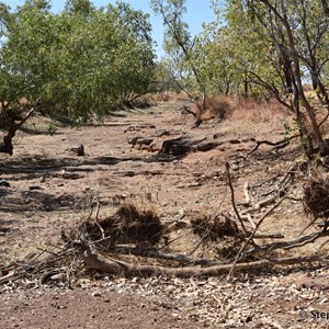 Nicholson River Crossing 