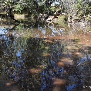 Brook Creek Crossing 