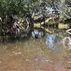 Brook Creek Crossing 