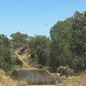 Forrest Creek Crossing