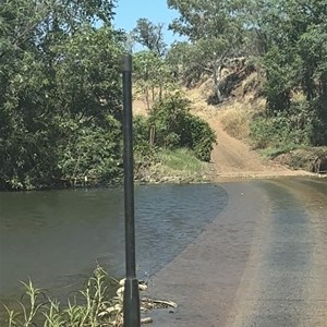 Forrest Creek Crossing
