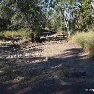 Spring Creek Crossing