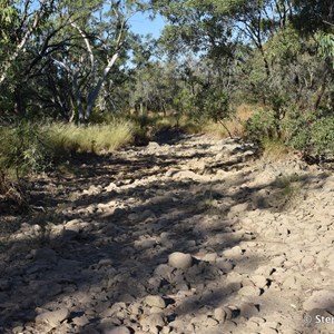 Spring Creek Crossing