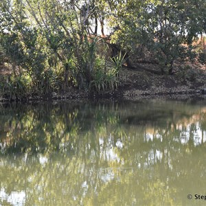 Behn River Camp 