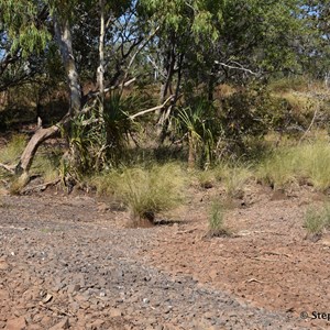 Hicks Creek Crossing