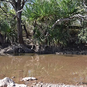 Hicks Creek Crossing