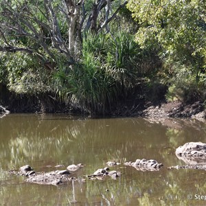 Hicks Creek Crossing