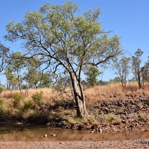 Matilda Creek Crossing