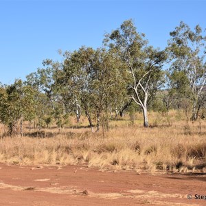 Ngamoowalem Conservation Park