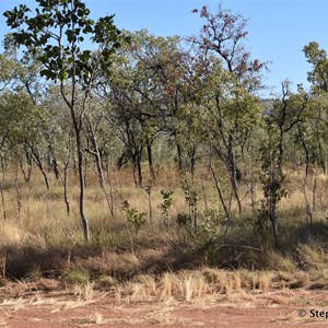 Ngamoowalem Conservation Park