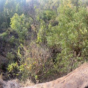 Moochalabra Aboriginal Art Site