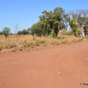 Marlgu Billabong Track Junction