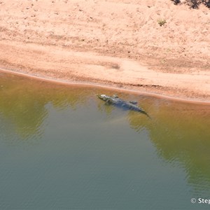 Large croc below Branco Lookout