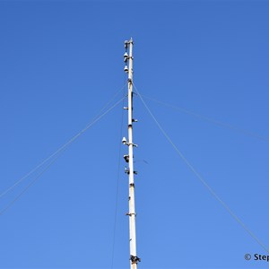 Katherine River Overland Telegraph Line Pylon