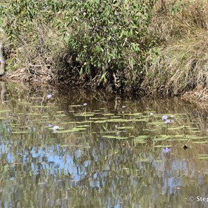 Maranboy Creek Crossing 