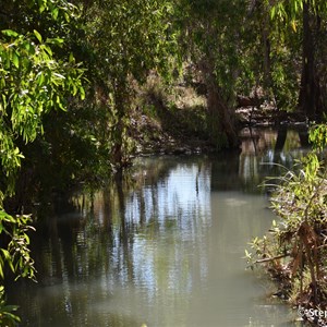 Weemol Creek Crossing 