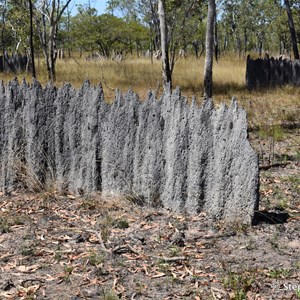 Magnetic Termite Mounds