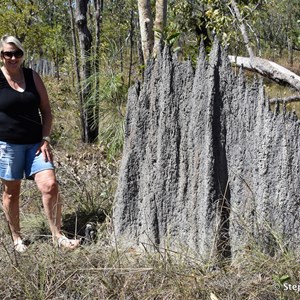 Magnetic Termite Mounds