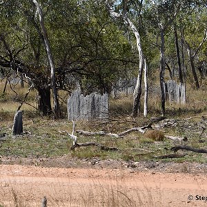 Magnetic Termite Mounds