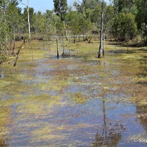 Goyder River Crossing