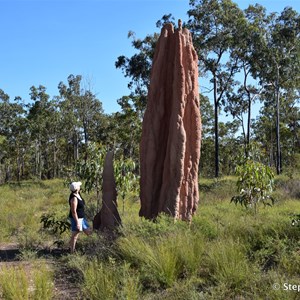 Giant Termite Mounds