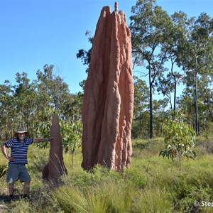 Giant Termite Mounds