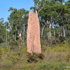 Giant Termite Mounds