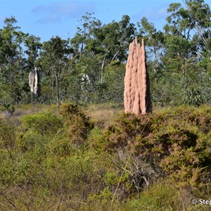 Giant Termite Mounds