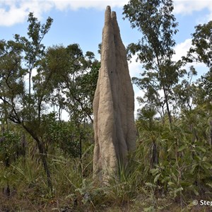 Giant Termite Mounds