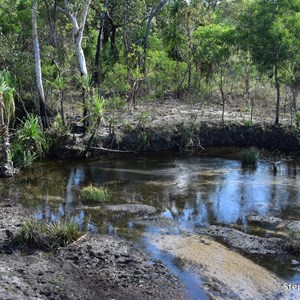 Rocky Bottom Creek Crossing